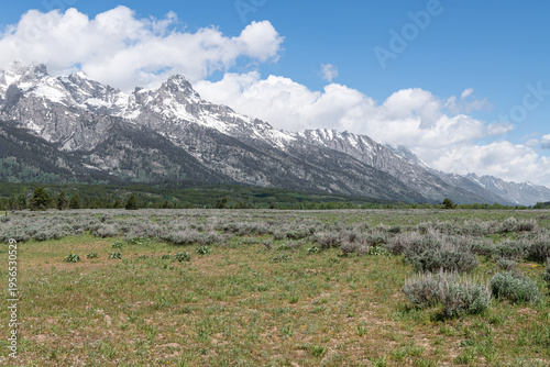 Wallpaper Mural Landscape of Mormon Row in Grand Teton National Park with the Teton Mountains in the background, Wyoming, USA Torontodigital.ca
