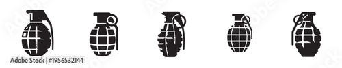Fotografie grenade vector with silhouette style