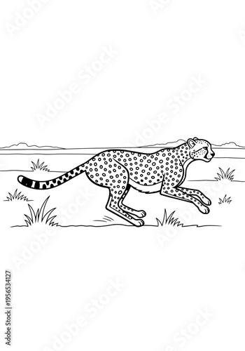A cheetah is running through the grass