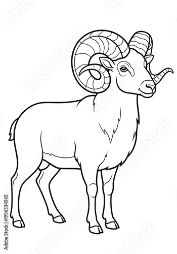 A ram with large curved horns standing still
