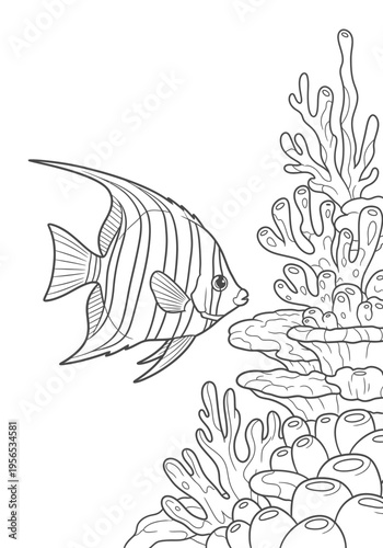 A fish swimming near coral reef