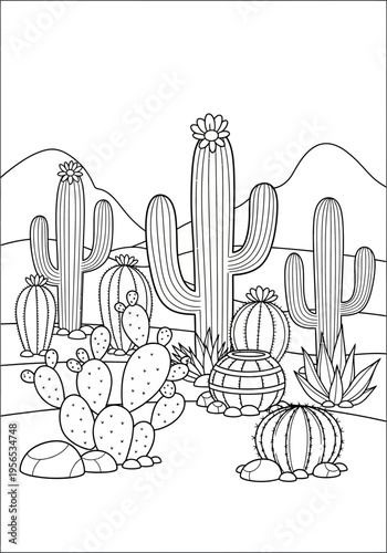 A group of cacti and succulents in the desert