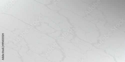 Marble granite white panorama background wall surface black pattern graphic abstract light elegant black for do floor ceramic counter texture stone slab smooth tile gray silver natural.