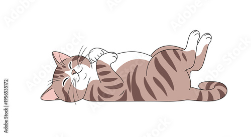 Adorable striped tabby cat lying happily on its back with paws up in a relaxed and playful pose on a white background.