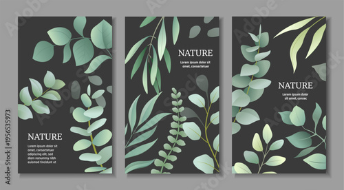 Watercolor flowers posters set. Botanical cards with foliage. Vertical nature templates. Eucalyptus leaves on a dark background. Natural elegance banners with copy space. Vector collection