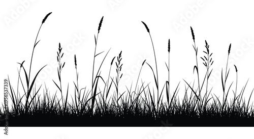 A field of grasses and wildflowers presented as a dark silhouette