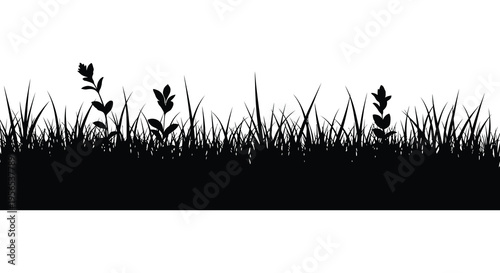 Black vegetation against a white backdrop creates a striking silhouette