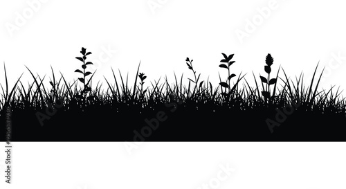 Black grass and wildflowers create a striking landscape silhouette