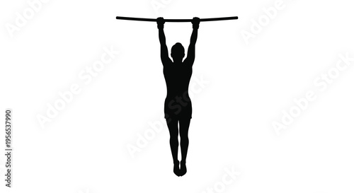 A person performing a pull up exercise in stark silhouette