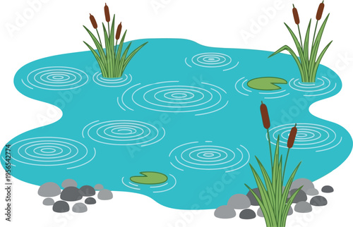 Vector illustration of a small pond with cattails, lily pads, rocks, and raindrop ripples on water surface