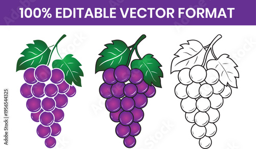 Hand Drawn bunch of grapes with leaves Vector