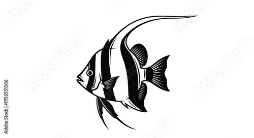 Black and white illustration of a fish with long fins swimming isolated on white background