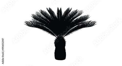 Black silhouette of a palm tree against a isolated on white background