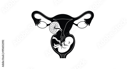 Black silhouette of a female uterus with a fetus and ovaries isolated on white background