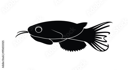 Black silhouette of a catfish swimming isolated on white background