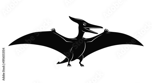 Black silhouette of a pterosaur flying with outstretched wings isolated on white background