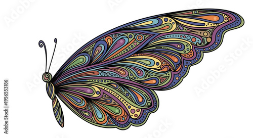 Colorful butterfly with intricate patterns on wings isolated on white background