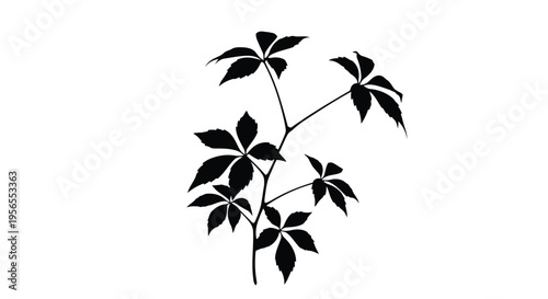 Black silhouette of a plant branch with leaves isolated on white background