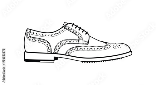 Detailed line drawing of a brogue dress shoe with perforations on a isolated on white background