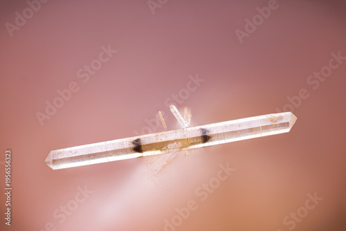 Bi-terminated Mimetite with phantom. Specimen from Longefay, Poule-les-Echarmeaux, France. Micro photography extreme close-up. microscope mineral crystal photography for Scientific use