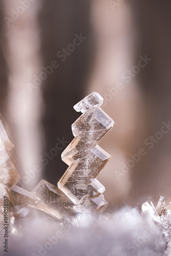 Photography Baryte crystals in septaria