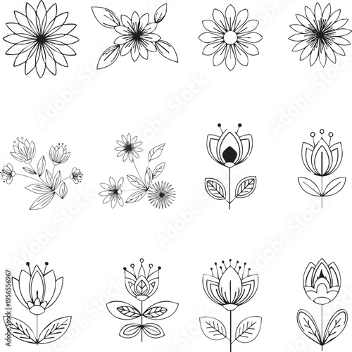 Line- drawn floral varieties collection of stylized botanical blooms