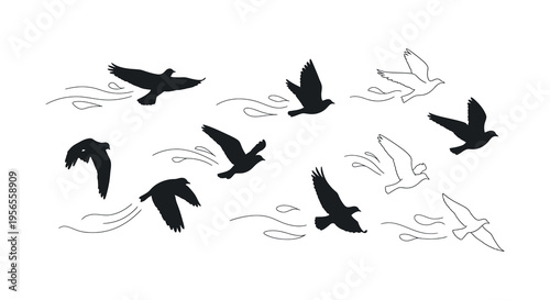 A flock of birds in flight against a white background silhouette