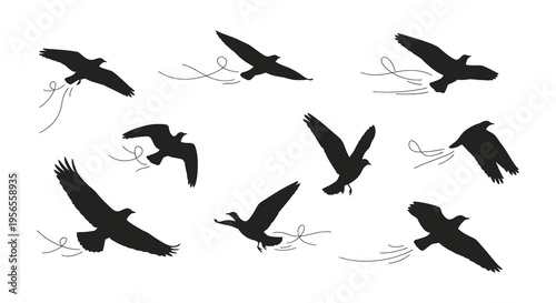 A flock of birds in flight with trailing lines a striking silhouette