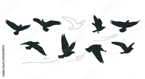 A flock of birds in flight captured as a striking silhouette