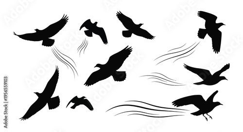 A collection of flying birds depicted as black silhouettes