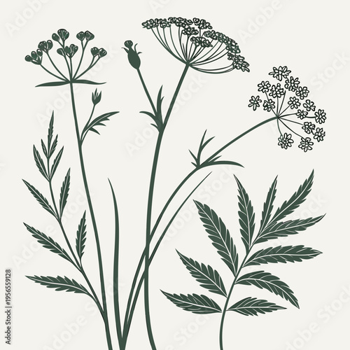 Wildflower botanical silhouettes illustration in dark green line art