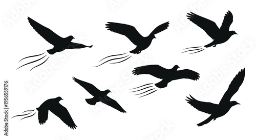 A flock of birds in flight depicted in dark silhouette