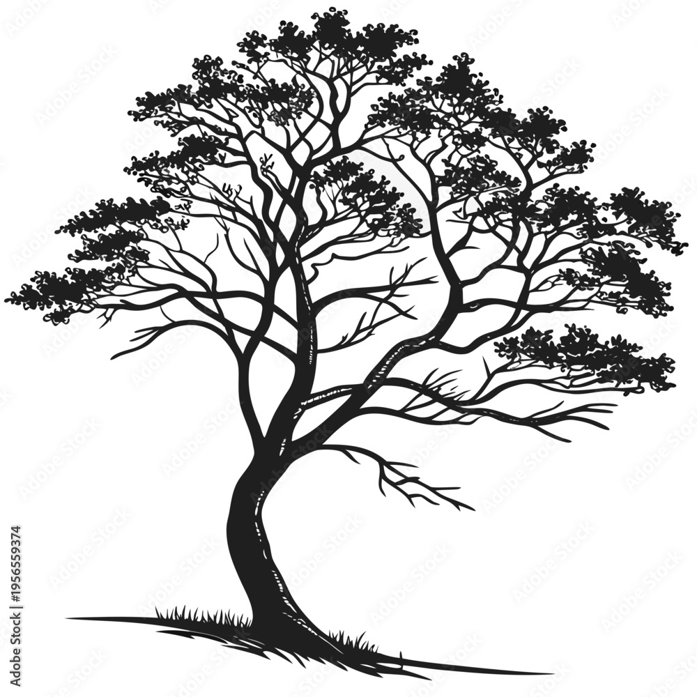 Fototapeta premium Stylized silhouette tree with branches and leaves with black and white