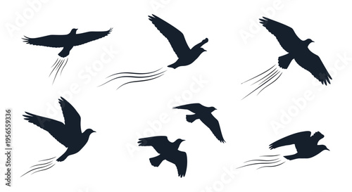 A flock of birds in flight depicted as a striking silhouette