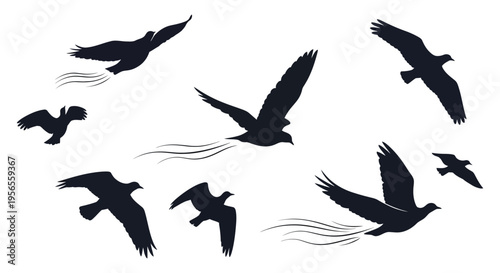 A flock of birds in flight captured as a striking silhouette