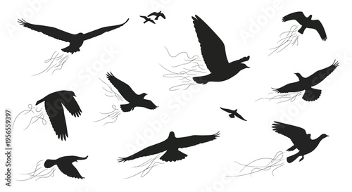 A flock of birds in flight depicted as a dark silhouette