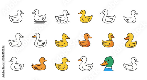 Set of Cute Duck Icons and Illustrations