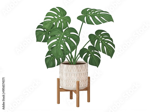 Green monstera plant in a patterned ceramic pot on wooden stand