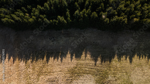 Aerial forest edge shadows on dry land climate change concept