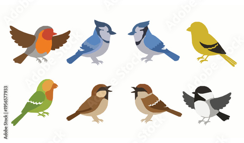 Spring birds cartoon vector set in childish style isolated on white background playful colorful illustration