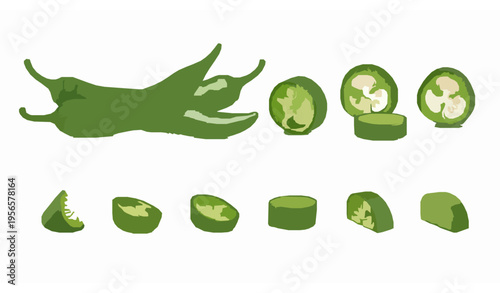 Realistic green chili pepper vector set whole, slice, and piece isolated on white for food illustration