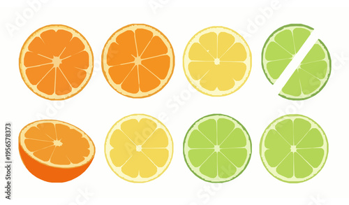 Fresh citrus fruit slices vector set with orange lemon lime isolated on white background for food design