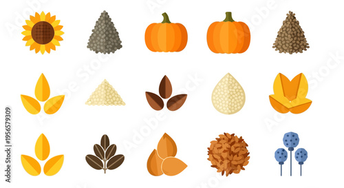 Set of 15 flat vector icons featuring various seeds, nuts, and plants like sunflower, pumpkin, and flax