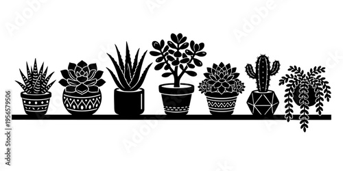 A collection of various succulent and cactus plants arranged in decorative pots on a flat shelf isolated on transparent background, Vector