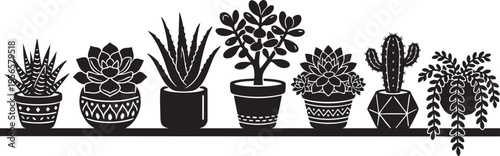 A collection of various succulent and cactus plants arranged in decorative pots on a flat shelf isolated on transparent background, Vector