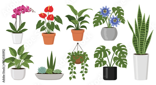 A vibrant collection of potted houseplants featuring various colors and leaf shapes presented as a flat design silhouette high quality professional