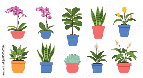 A colorful collection of potted houseplants including orchids snake plants and lilies presented as a flat silhouette high quality professional detailed