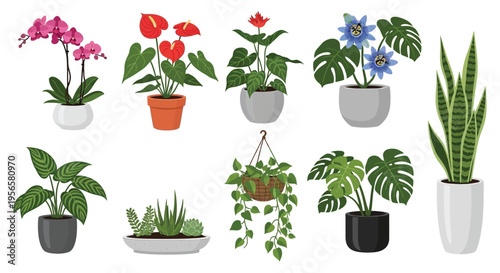 A vibrant collection of potted houseplants and hanging baskets showcasing diverse foliage and blooms a botanical silhouette high quality professional