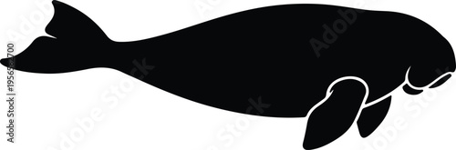 Vector silhouette of a manatee or dugong aquatic animal outline illustration design