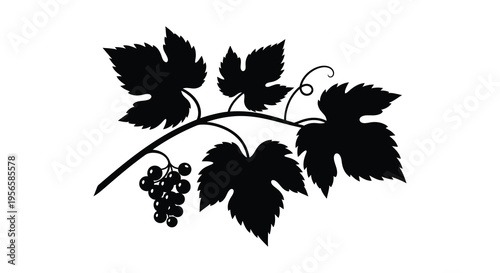 A detailed black silhouette of grape vines with leaves and fruit showcasing an elegant botanical design silhouette high quality professional modern
